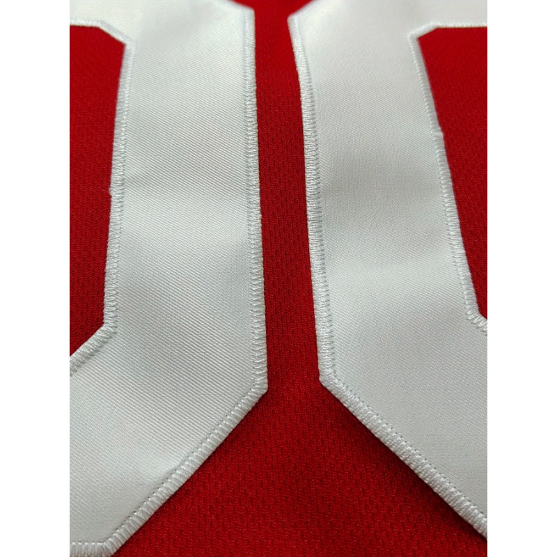 Camiseta de baloncesto con nom - Embroidery Jersey reseña y precio